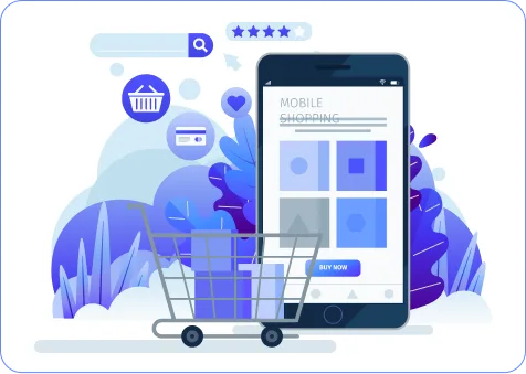 BigCommerce Audit and Discovery