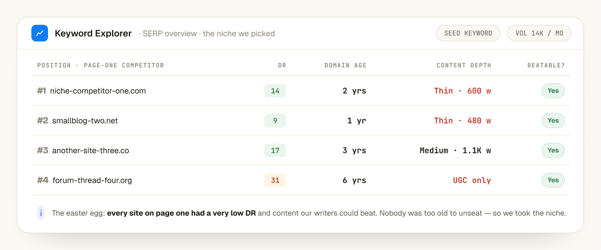 Niche selection process showing low-DR sites ranking on page one